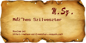 Méhes Szilveszter névjegykártya