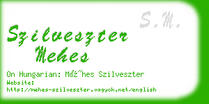 szilveszter mehes business card